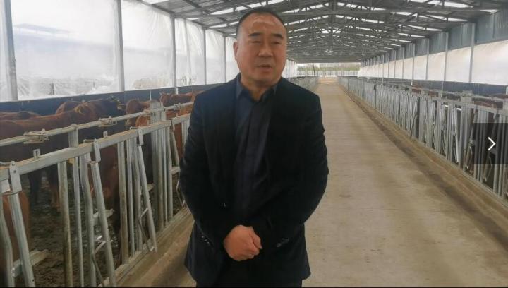 【脫貧攻堅(jiān)我來見證】項(xiàng)祖地：讓“早勝牛”品牌走出甘肅  走向全國(guó)