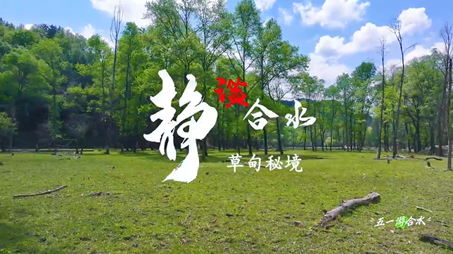 【五一游慶陽】靜謐合水︱合水縣太莪鄉(xiāng)草甸秘境等你來打卡！