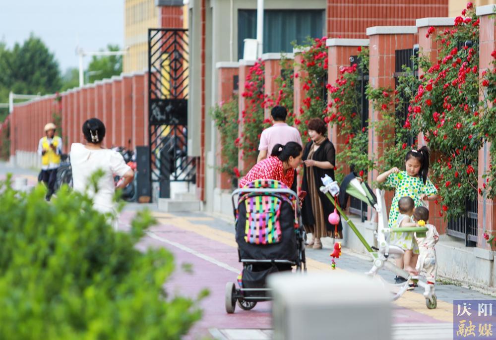 【攝影報道】薔薇花開！邂逅夏日的浪漫
