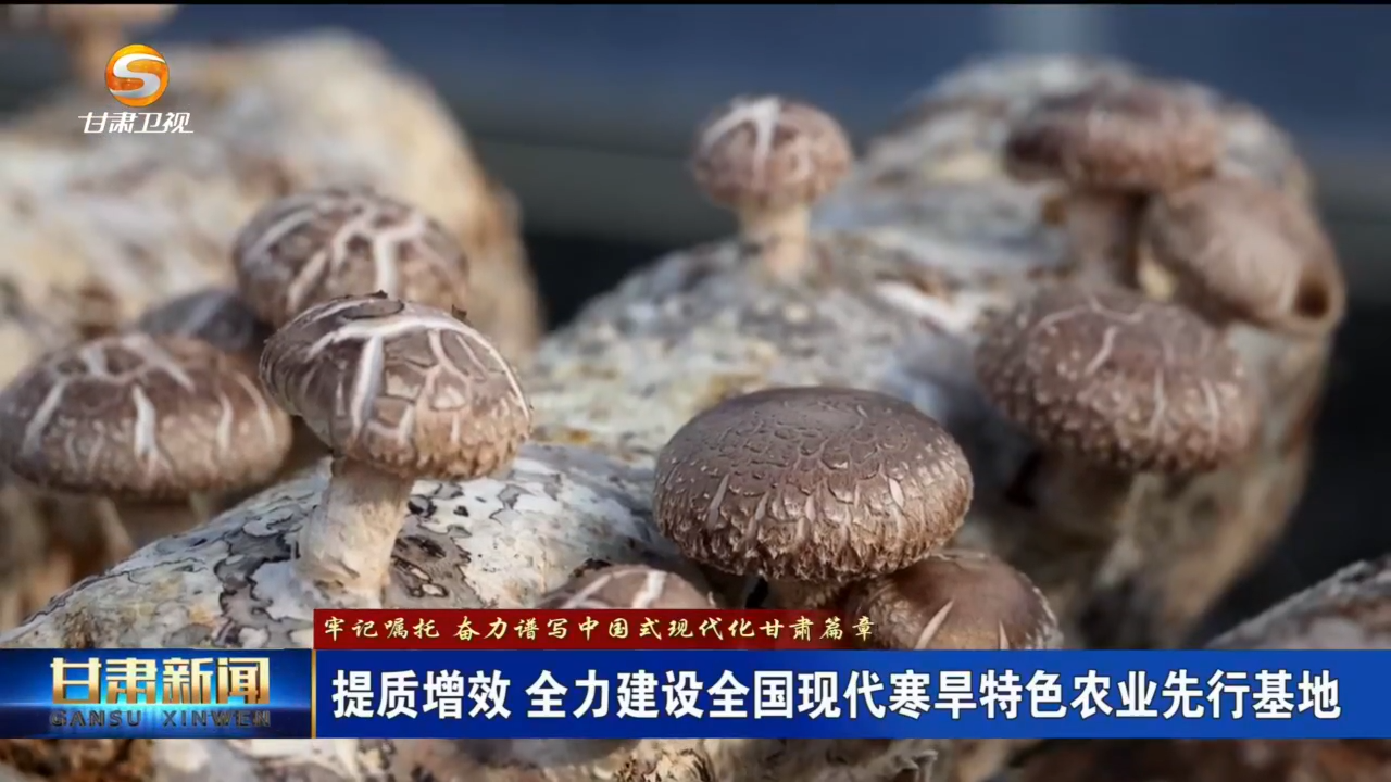 （牢記囑托 奮力譜寫中國式現代化甘肅篇章）提質增效 全力建設全國現代寒旱特色農業(yè)先行基地